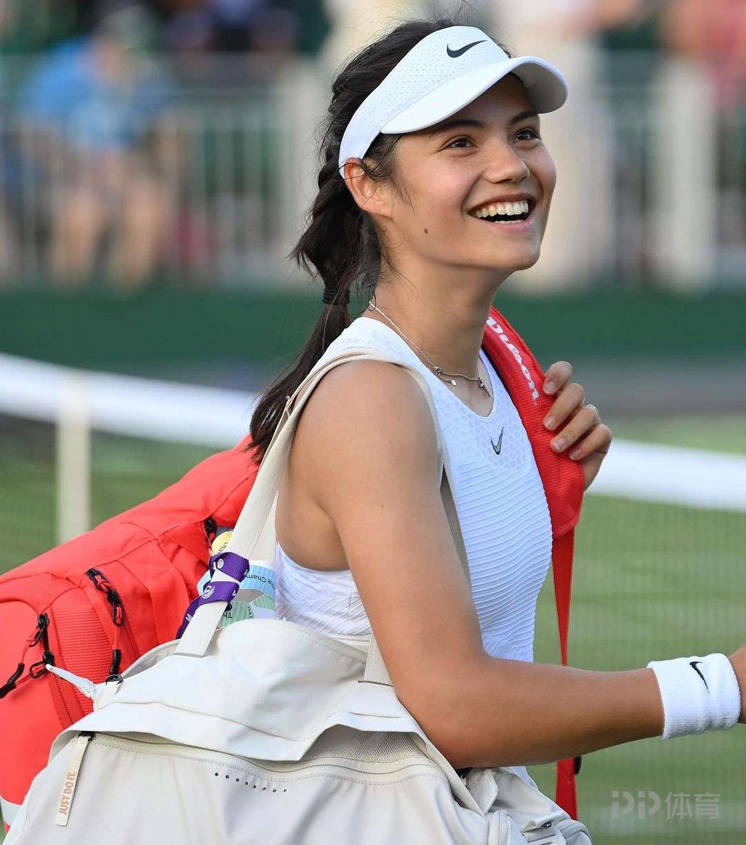 本文将深入 本文将深入