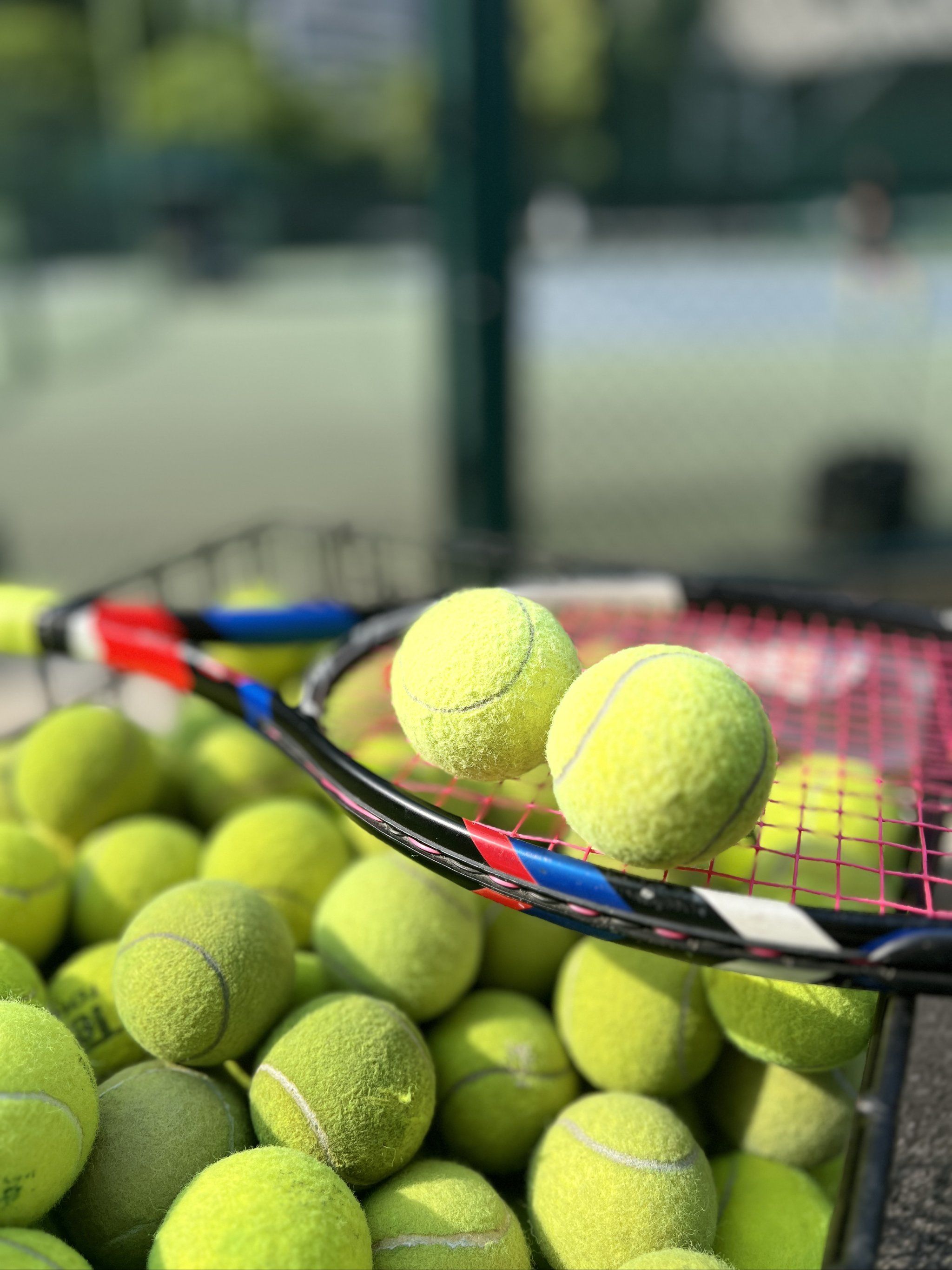 迫失效的情 迫失效的情